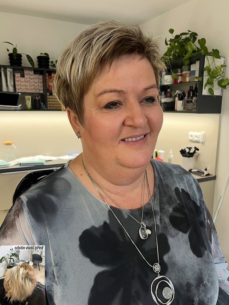 Proměny dle typologie