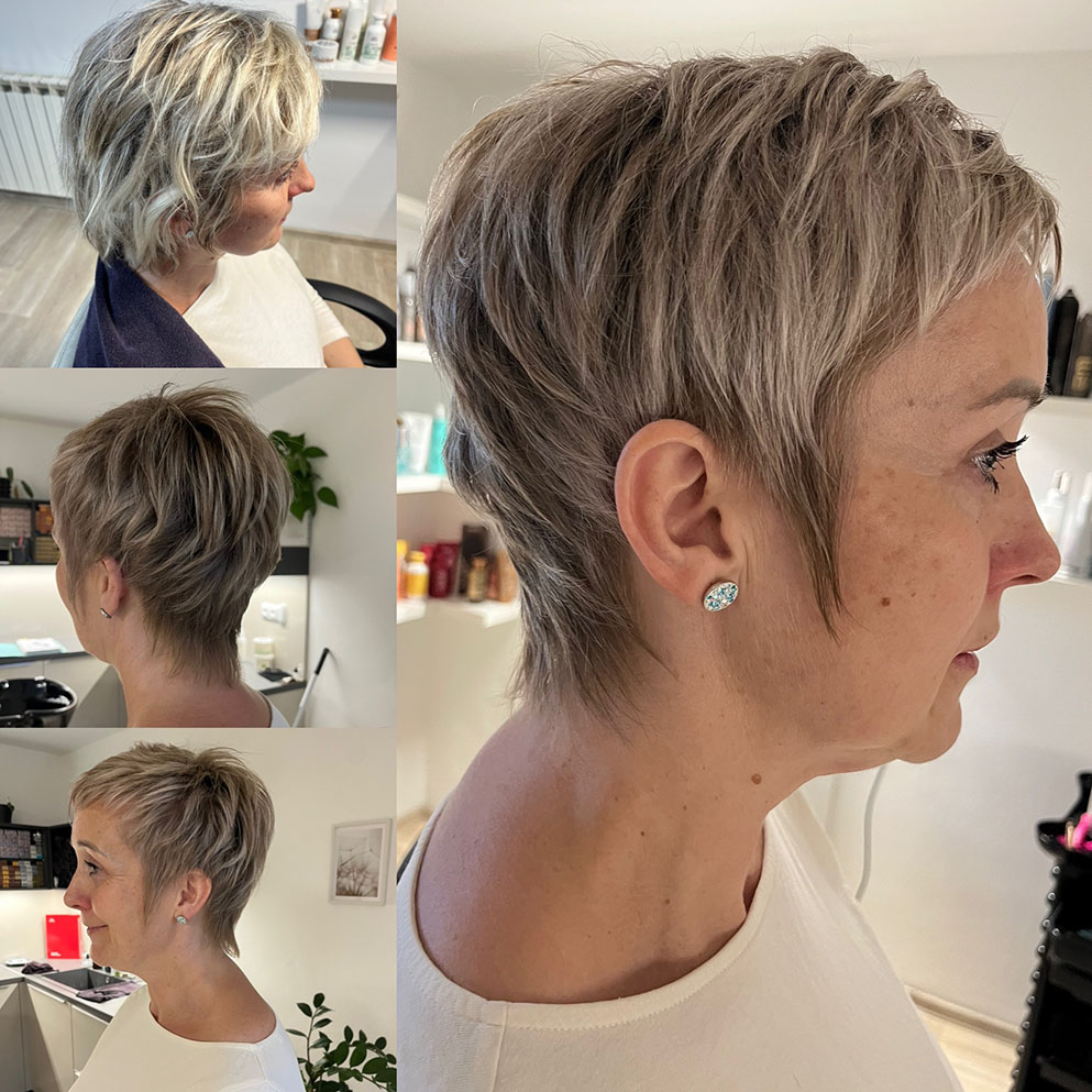 Proměny dle typologie